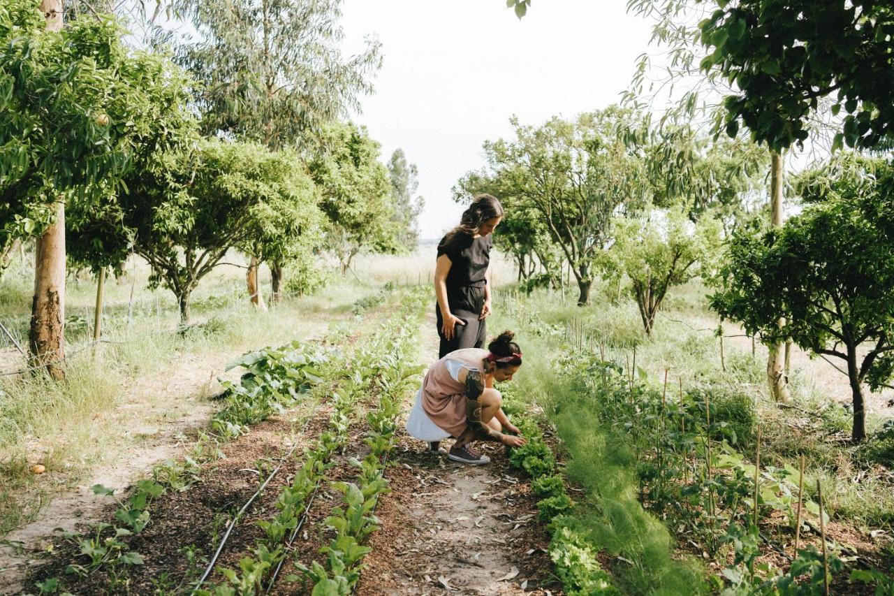 Villa Humus Farm Águas de Moura Exterior foto
